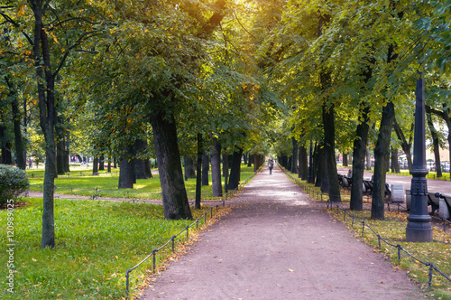 Fototapeta Naklejka Na Ścianę i Meble -  Autumn park in city.