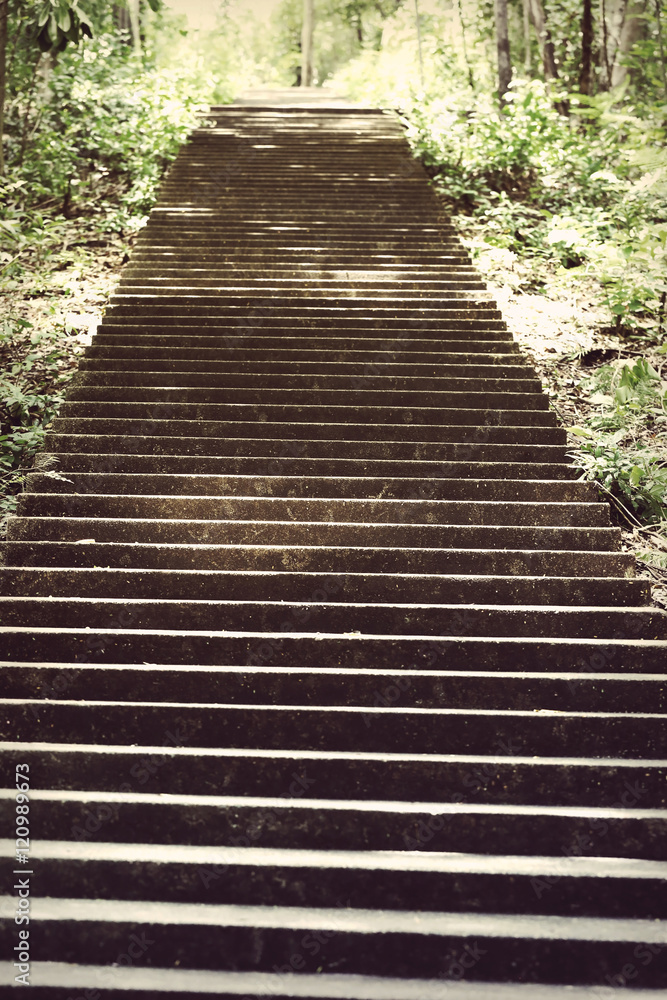 Fototapeta premium staircase old concrete of walkway in the garden.