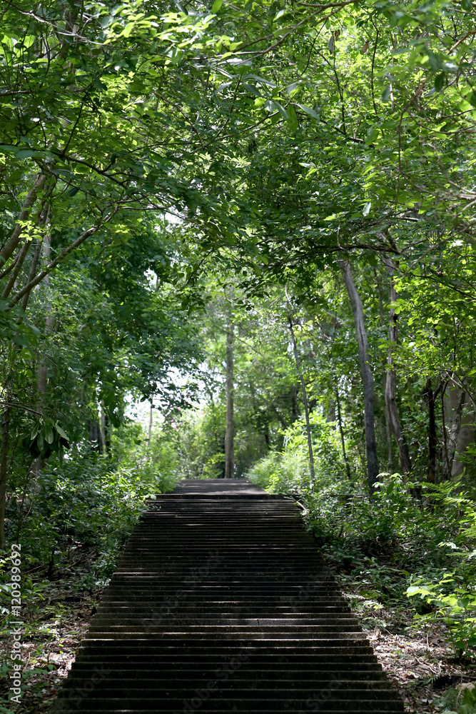 Obraz premium staircase old concrete of walkway.