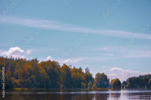 Autumnal lake coast with forest under blue sky. On shore of lake in autumn sunny © ipek67