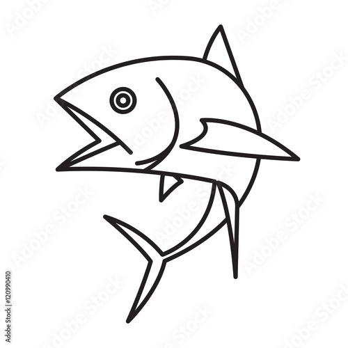graphic fishing tuna  vector