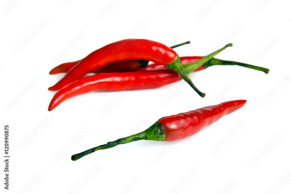 Chili pepper isolated on white background