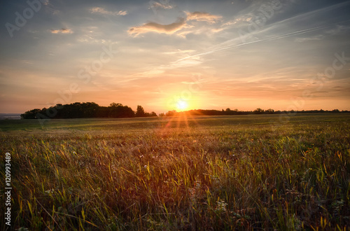 Beautiful summer landscape