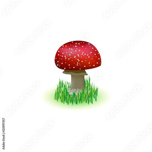 Fly agaric illustration. Mushroom icon.