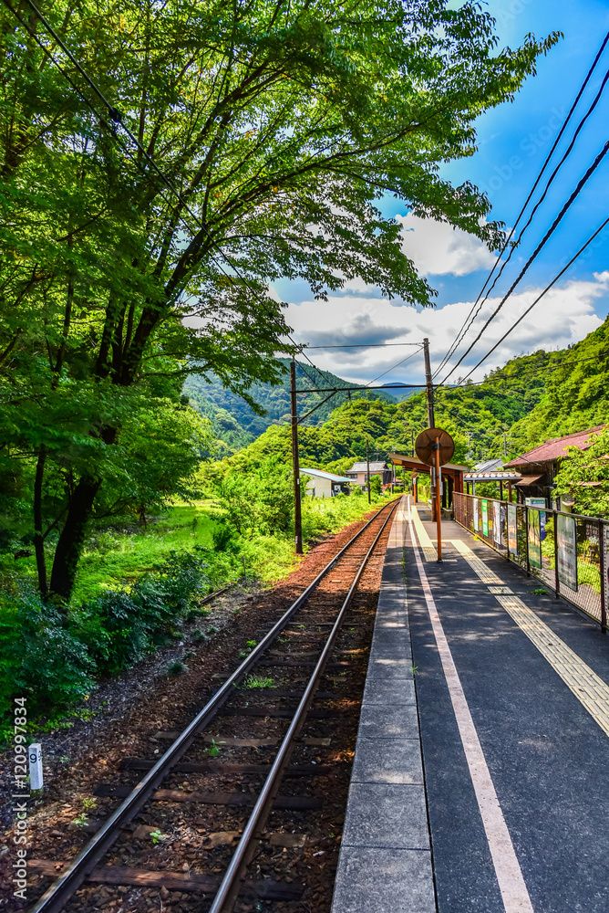 Fototapeta premium 日本の田舎の駅