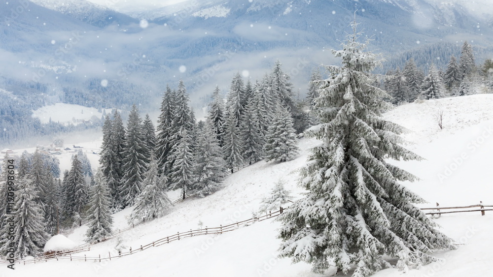 Fototapeta premium New Year,christmas, winter background
