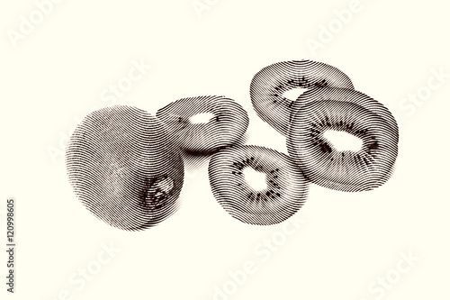 Sketch painting Kiwi Fruit and his Sliced Segments Isolated on White Background Black and white