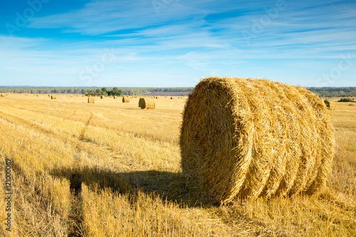 haystack in a field