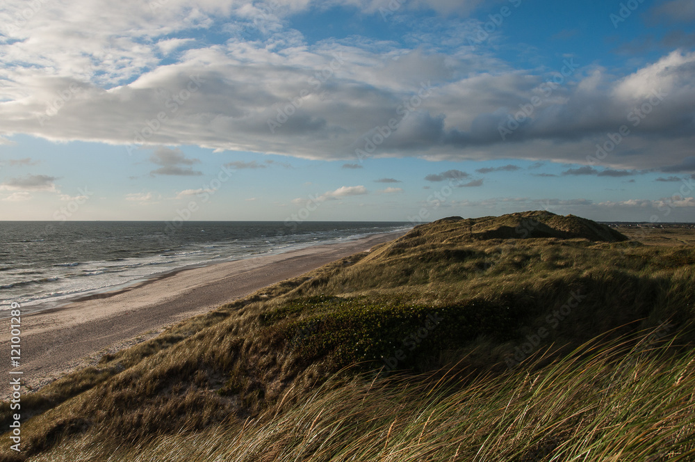 Evening on the beach with sand dunes in Denmark
