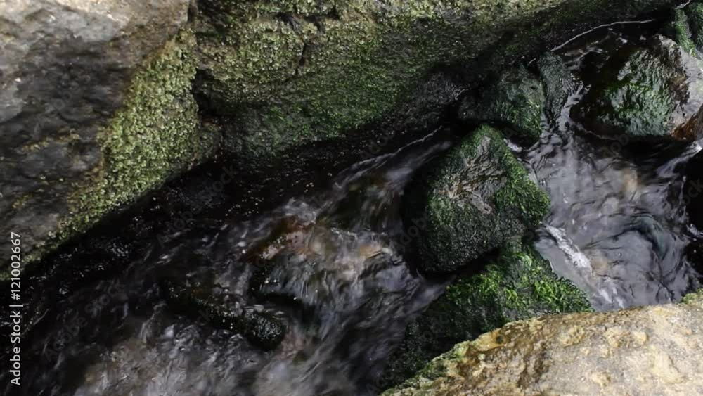 Tidal bore. Sea shore Tidal bore. Sea shore