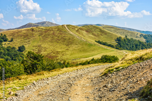 road through a meadow on hillside