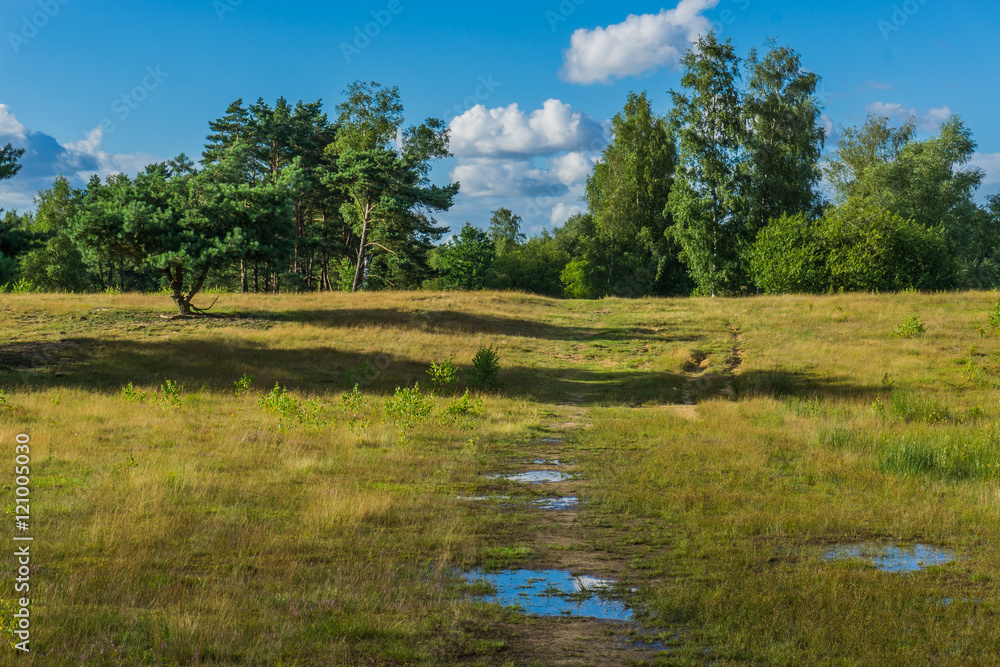 beautiful wild moorland landscape track with water puddles beautiful wild moorland landscape track with water puddles