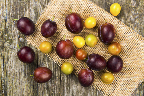 Pflaumen und Mirabellen - reifes Obst photo