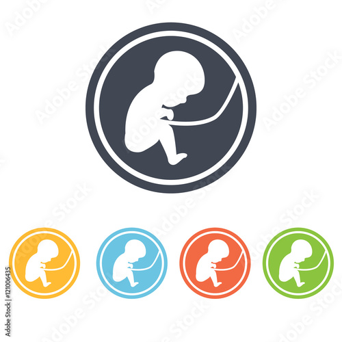 human organs icon