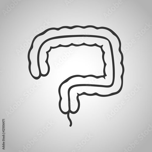 human organs icon