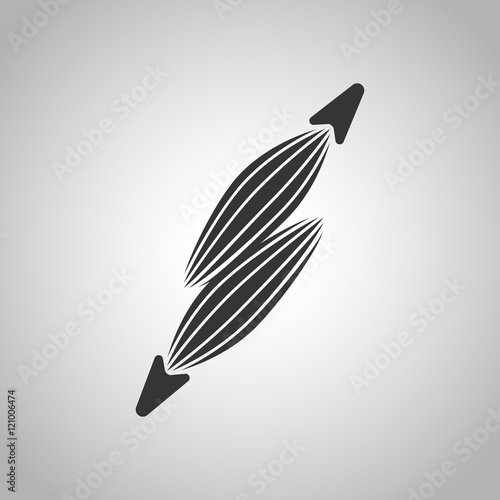 human organs icon