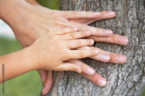 Family hands on tree trunk background