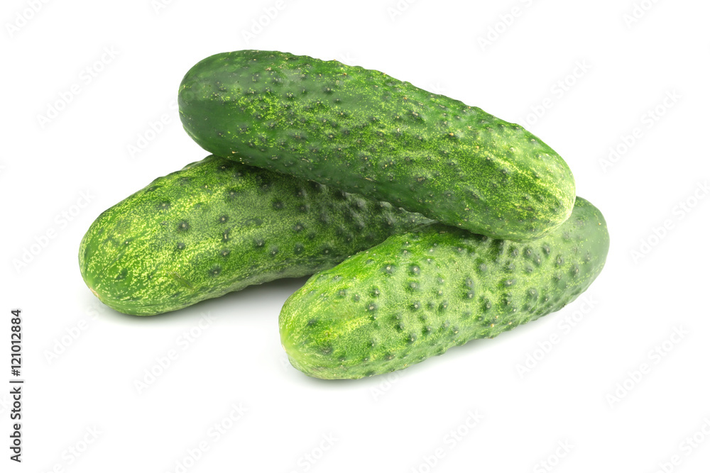green Cucumber on a white background green Cucumber on a white background