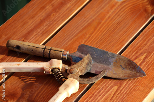 Rusty garden scoop and a secateurs on the wooden bench in the summer garden photo