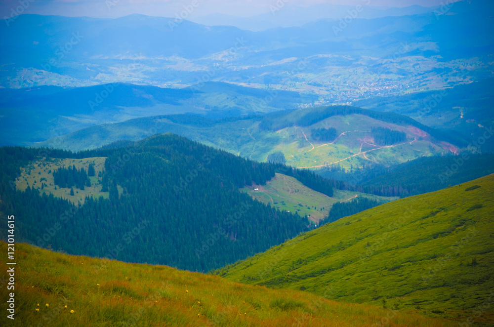 Fototapeta premium Field of spring grass and mountain