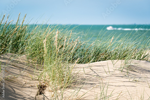 Dunes de Charentes Martimes photo