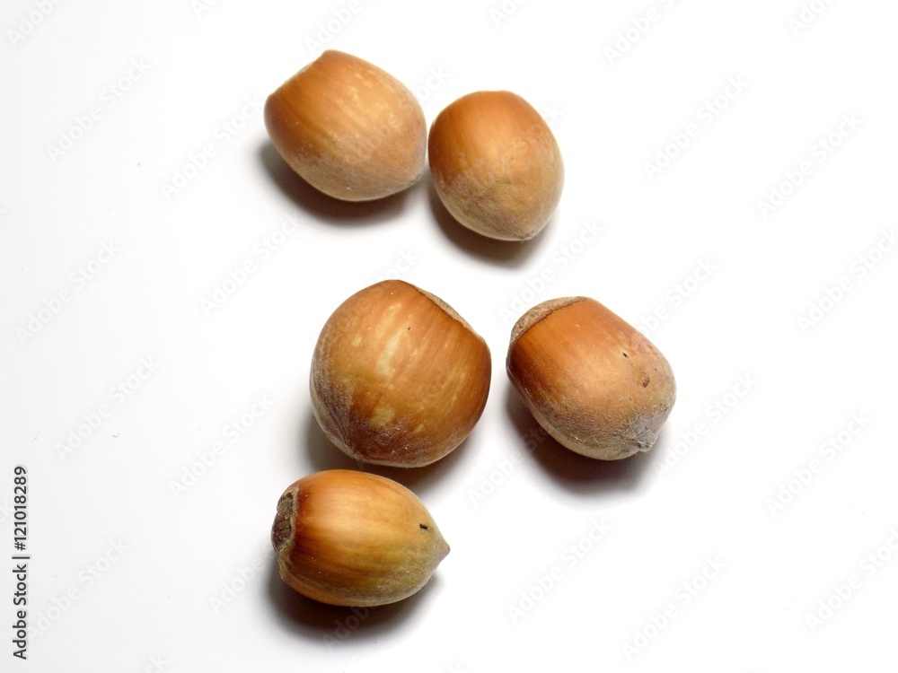 Isolated hazelnuts on white background, healthy nut food in nutshell Isolated hazelnuts on white background, healthy nut food in nutshell
