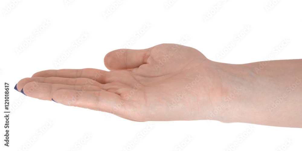 Open hand giving something, middle-aged female's skin, blue manicure. Isolated on white background Open hand giving something, middle-aged female's skin, blue manicure. Isolated on white background