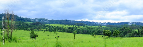 Panorama of the forest, green field and mountain landscape view