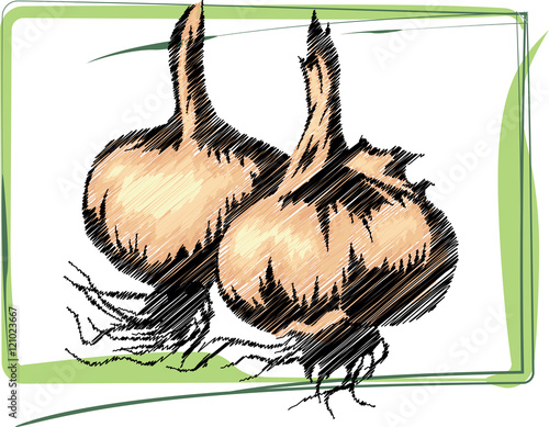 Organic Food illustration