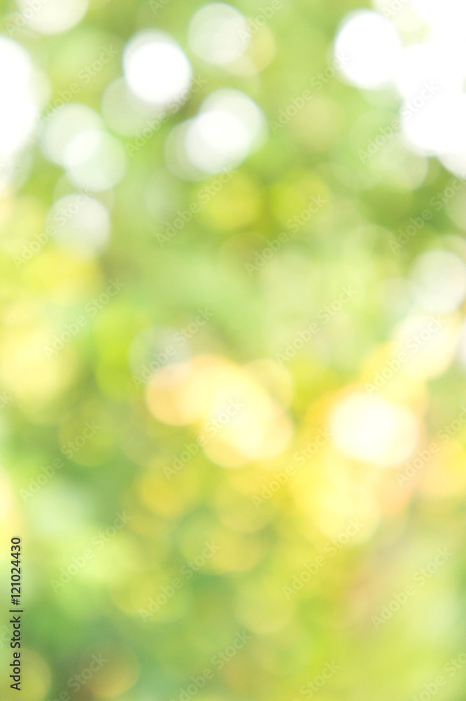 Texture bokeh style , Green natural bokeh background Texture bokeh style , Green natural bokeh background