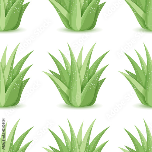 Agave - seamless pattern with desert plants. Nature floral background with green succulent leaf. Wallpaper with plantation of aloe. Vector illustration
