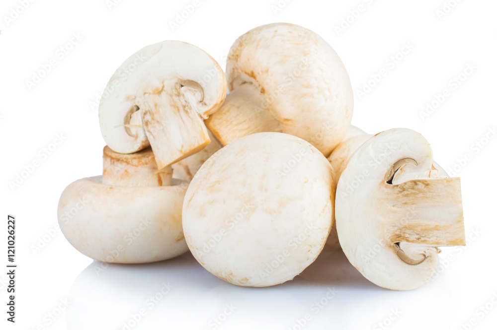 Mushrooms isolated on white background Mushrooms isolated on white background