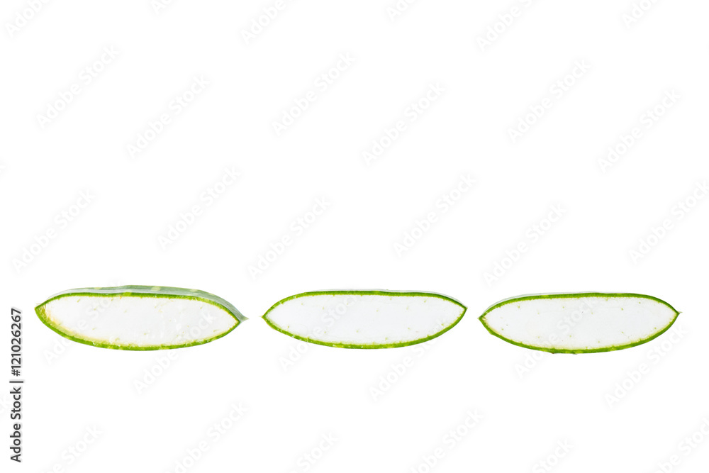 Aloe Vera Slices isolated on white background Aloe Vera Slices isolated on white background