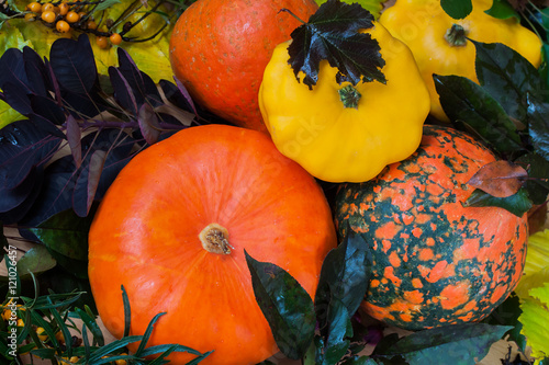 Diverse assortment of pumpkins and colorful leaves for different autumn holidays
