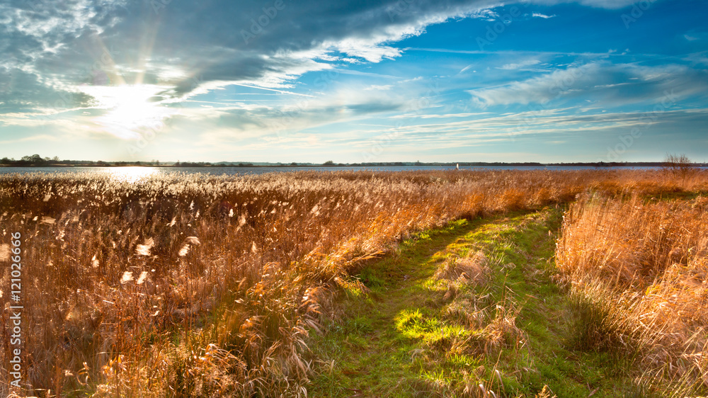 Trail through Wild Countryside