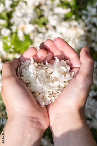 фотографія Love in hands