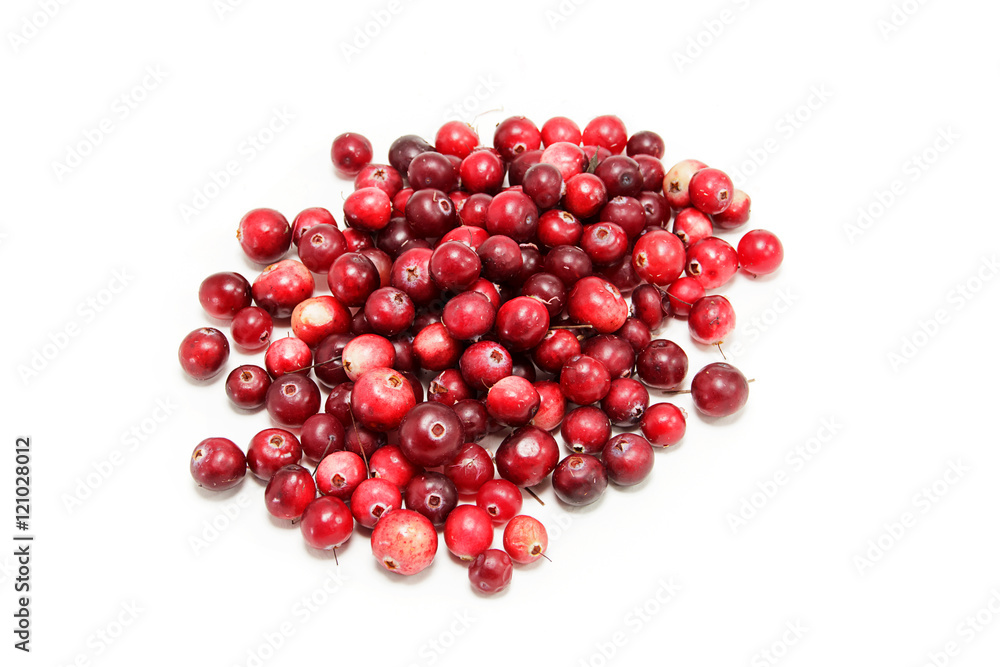handful of freshly cranberries on a white background handful of freshly cranberries on a white background