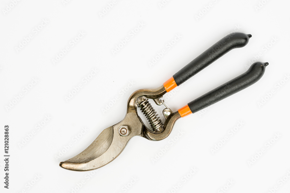 Obraz premium Garden pruner over white background