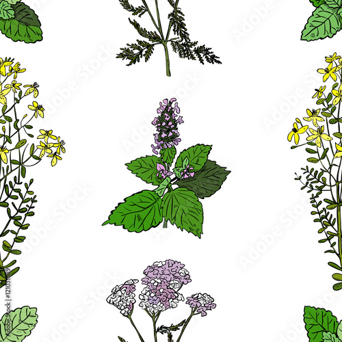 Seamless pattern with mint, St. John's wort and milfoil