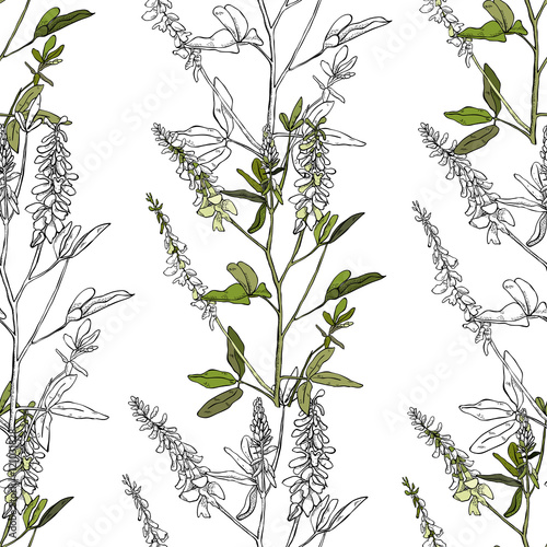 Seamless pattern with melilot flowers