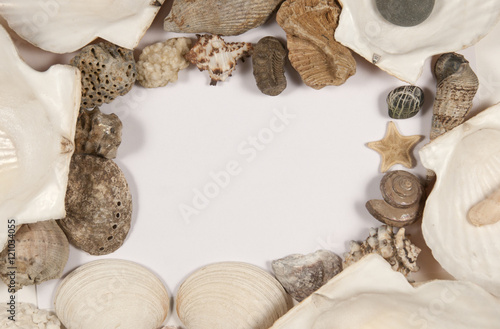 Sea shell and reliquaes frame border background. Top view.