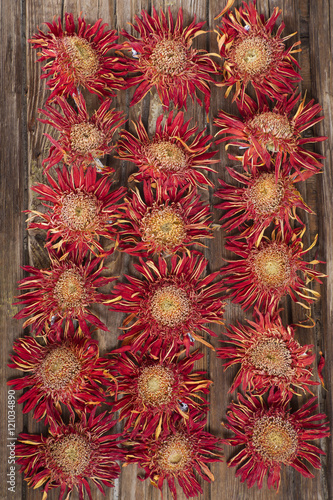 Fototapeta Naklejka Na Ścianę i Meble -  Small dried flowers