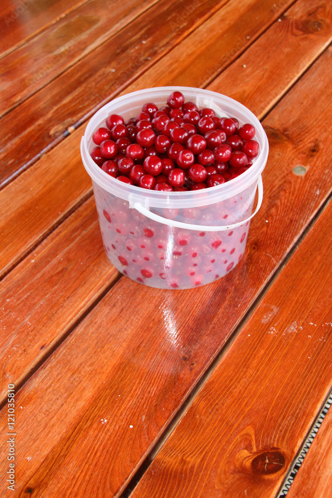 Plastic bucket with freshly collected ripe cherries on the wooden table in the summer garden Plastic bucket with freshly collected ripe cherries on the wooden table in the summer garden
