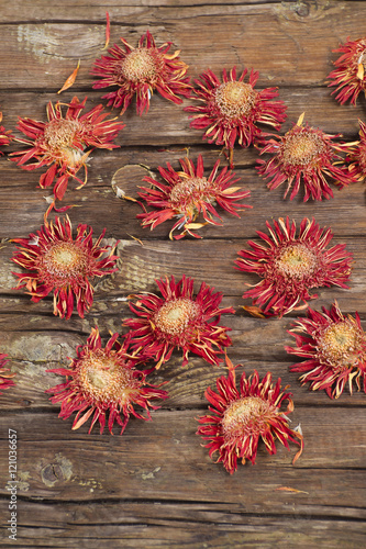 Fototapeta Naklejka Na Ścianę i Meble -  Small dried flowers