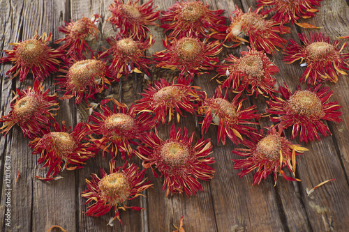 Fototapeta Naklejka Na Ścianę i Meble -  Small dried flowers