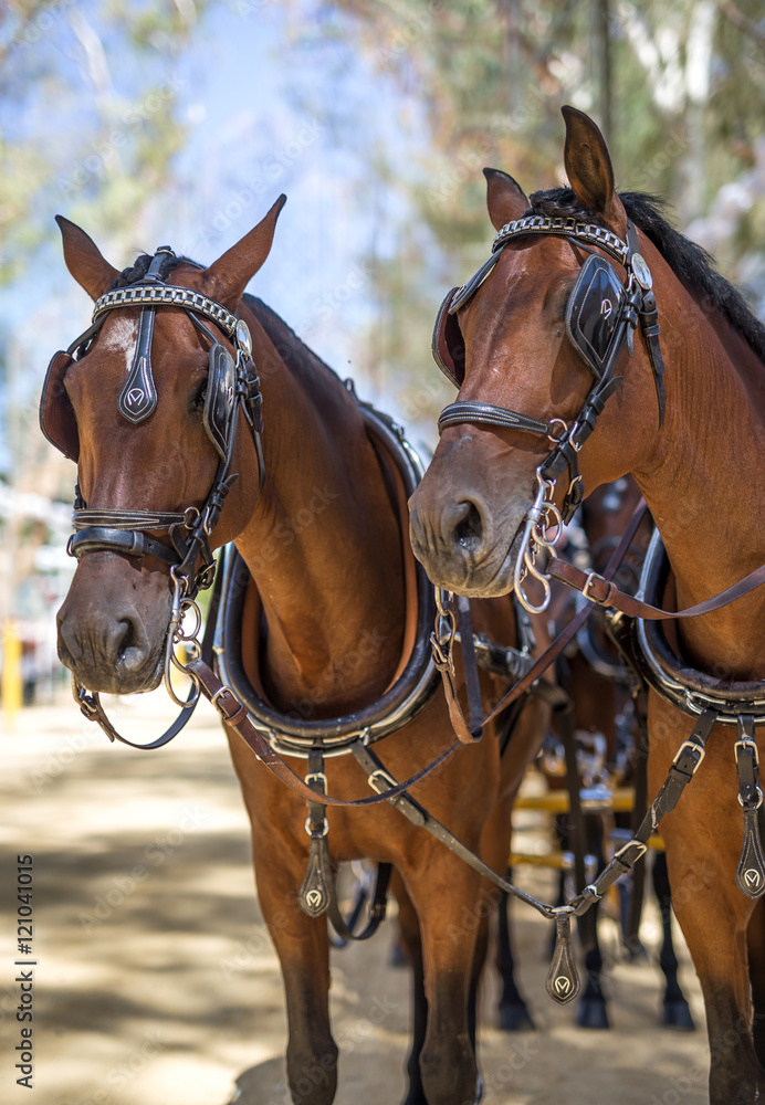  fair of Utrera in Seville decoration and horses