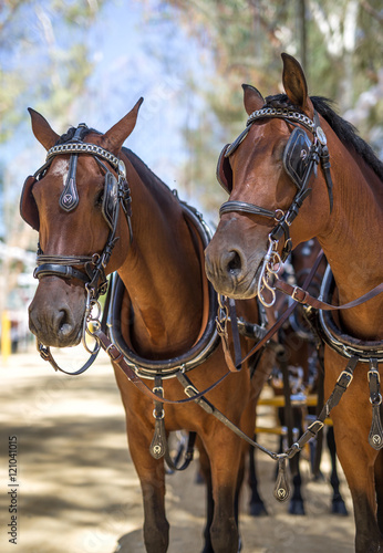  fair of Utrera in Seville decoration and horses © Eduardo Lopez