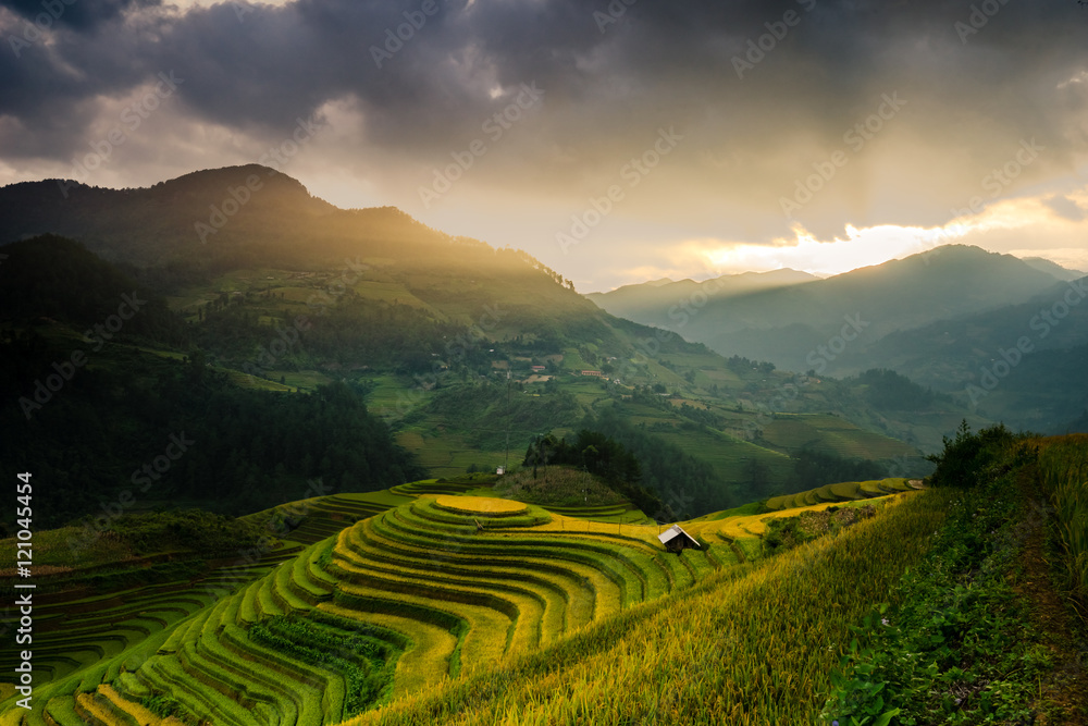 Beautiful Rice Terraces in the evening, South East Asia