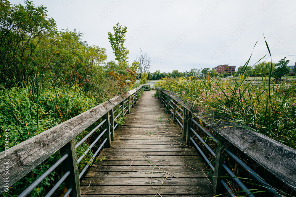 Boardwalk trail in a wetland, at Rivergate City Park, in Alexand