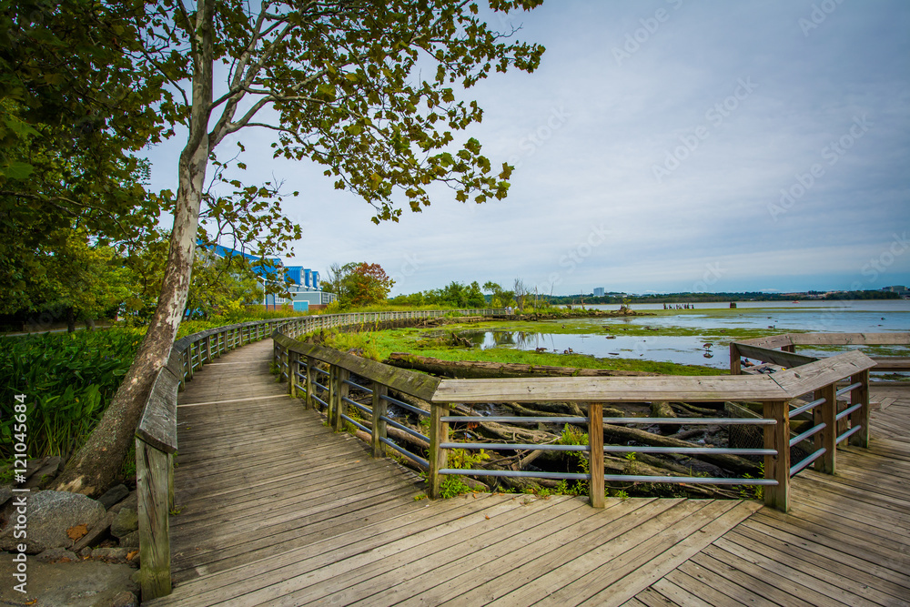 Fototapeta premium Boardwalk trail in a wetland, at Rivergate City Park, in Alexand